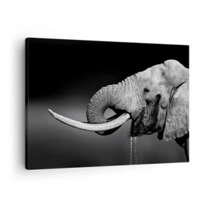 Quadro em tela - Retrato em preto e branco de um elefante de perfil - 70x50cm - Sim, agora está tudo bem - Decoração de parede moderna para a sala de estar e quarto ARTTOR