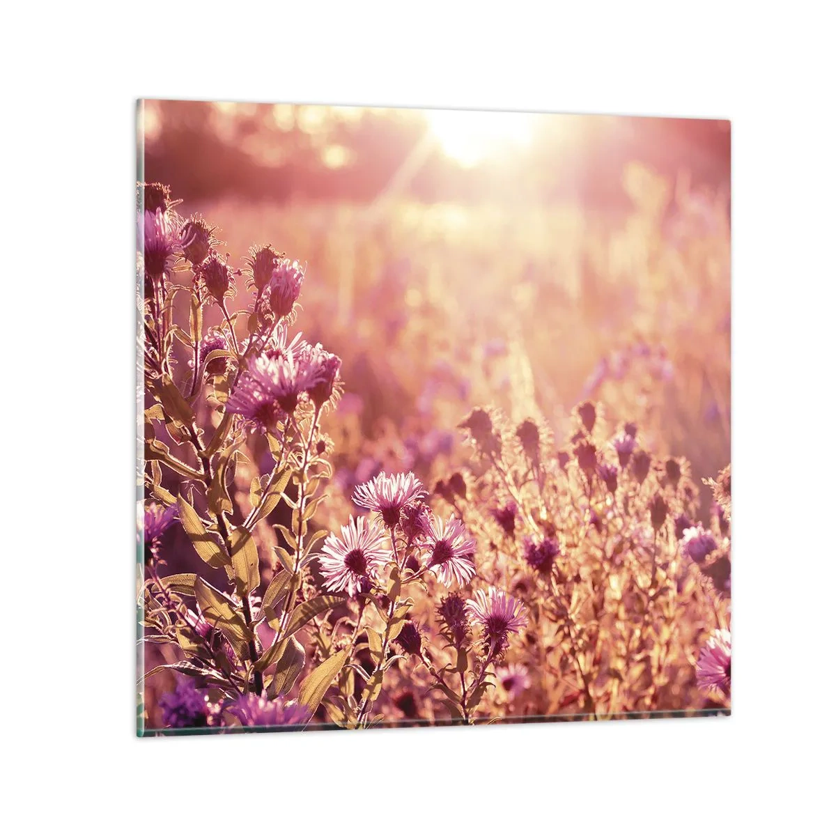 Quadro em vidro - Antes do verão acabar - 60x60 cm