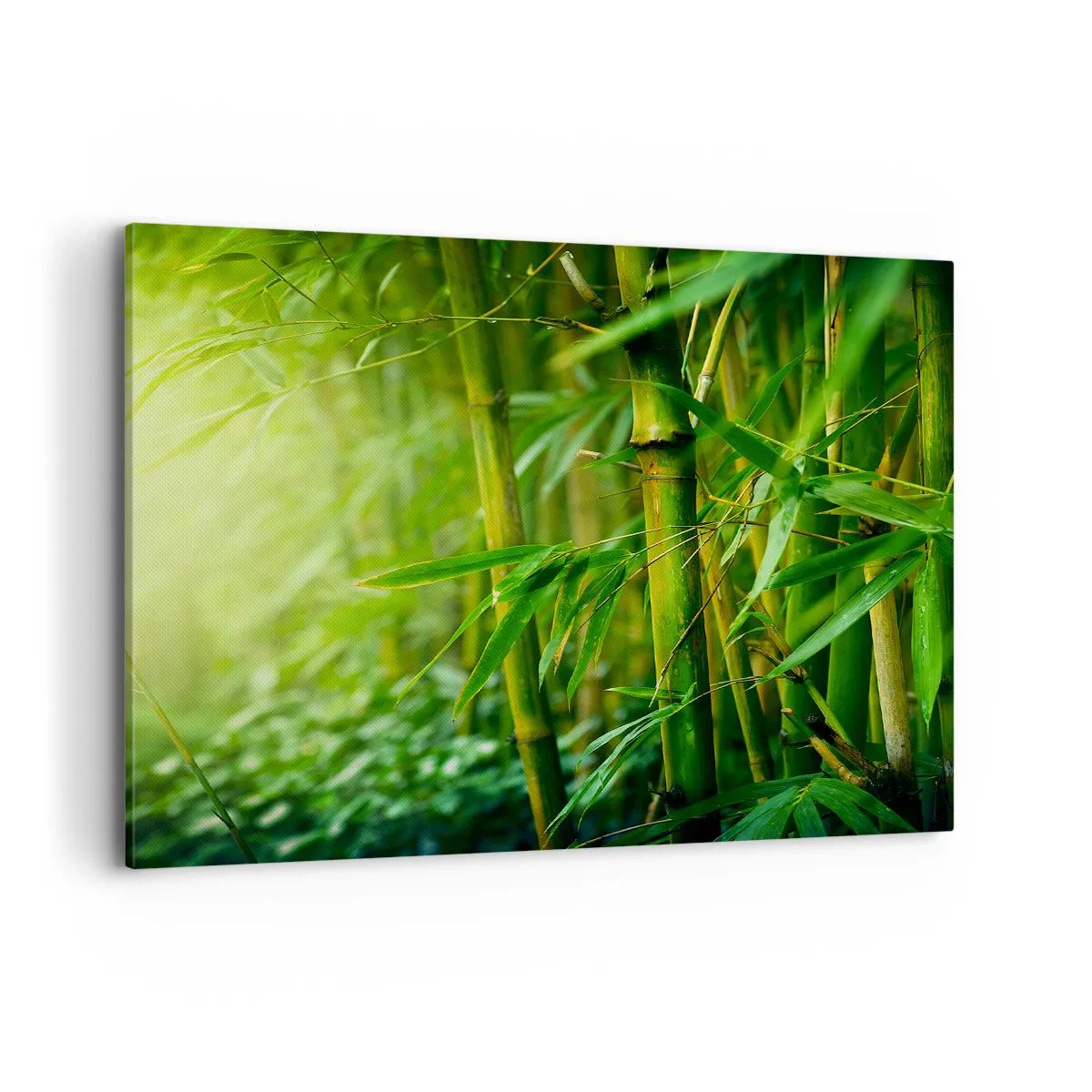 Quadro em tela - Conheça a vegetação - 100x70 cm