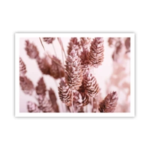 Pôster - Aparentemente discreto - 100x70 cm