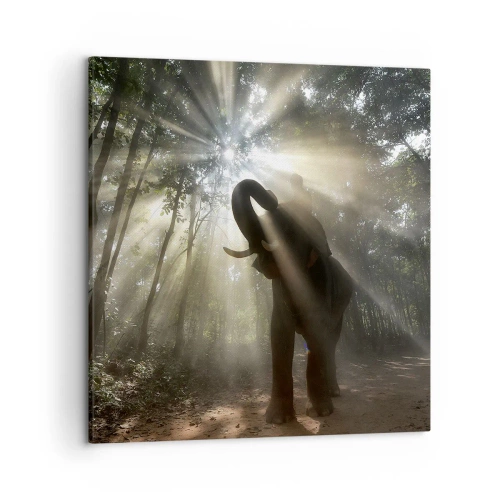 Quadro em tela - Sob a estrela da sorte - 50x50 cm