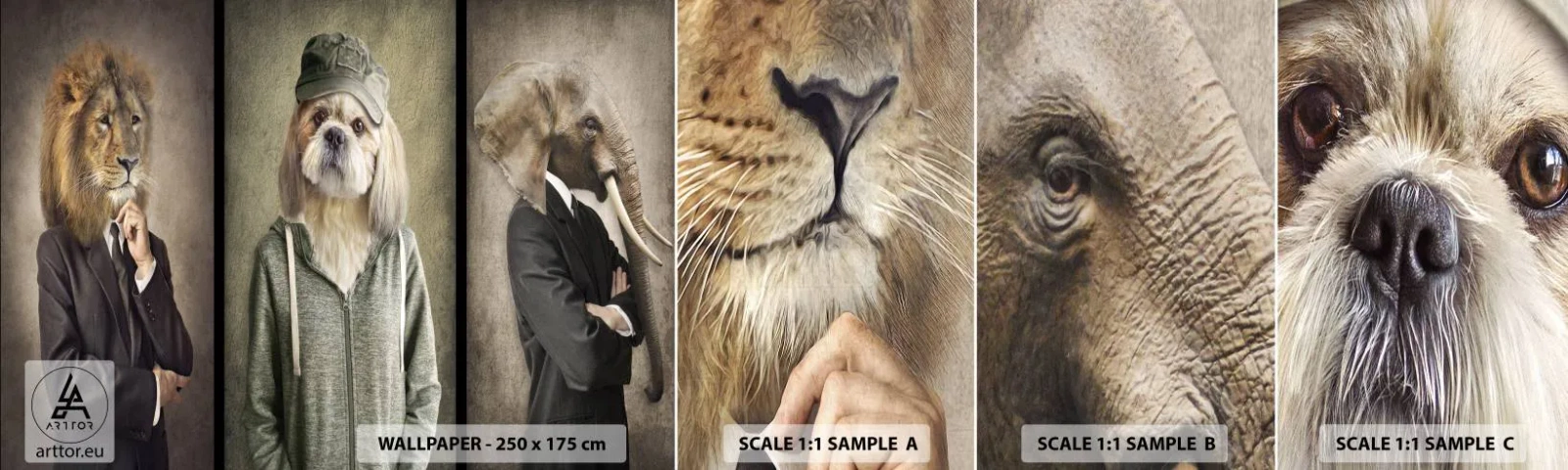 Amostra de Papel de Parede Standard Eco - Prefiro relaxar - Abstração, Leão, Cachorro - 100x30 cm