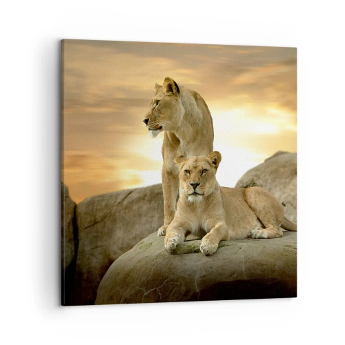 Quadro em tela - Majestade real - 50x50 cm