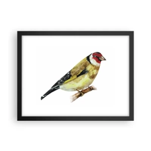 Pôster com moldura preta - Retrato de um pássaro - 40x30 cm