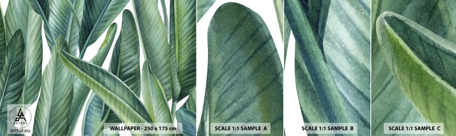 Amostra de Papel de Parede Standard Eco - O próprio verde - Folhas verdes, Planta tropical, Natureza - 100x30 cm