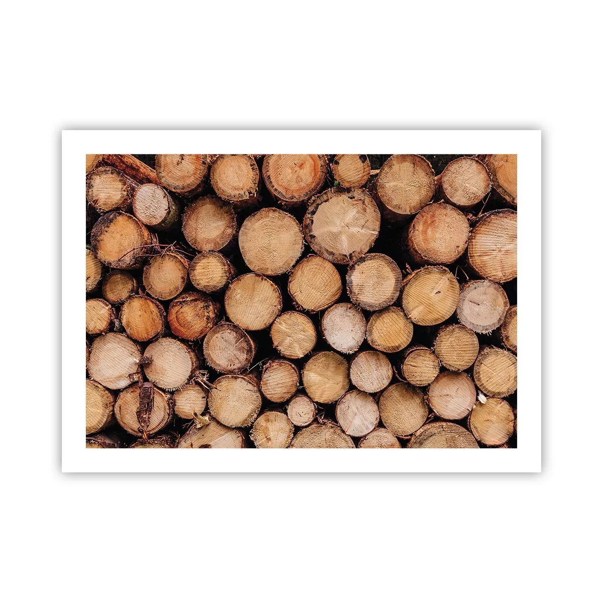 Pôster - Um novo começo - 70x50 cm