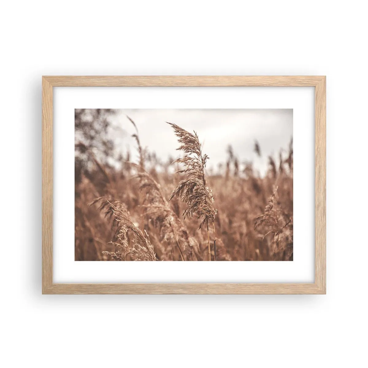 Pôster com moldura de carvalho claro - O outono já chegou ao campo - 40x30 cm