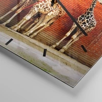 Mostrador com traços