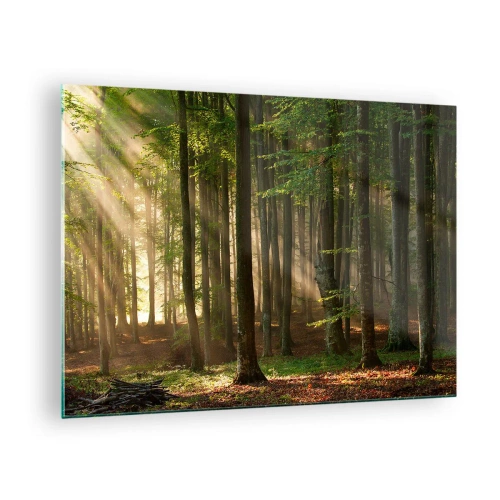 Quadro em vidro - Raios de sol brilhando através das árvores da floresta - 70x50cm - Radiante em uma manhã de primavera - Decoração de parede moderna para a sala de estar e quarto ARTTOR