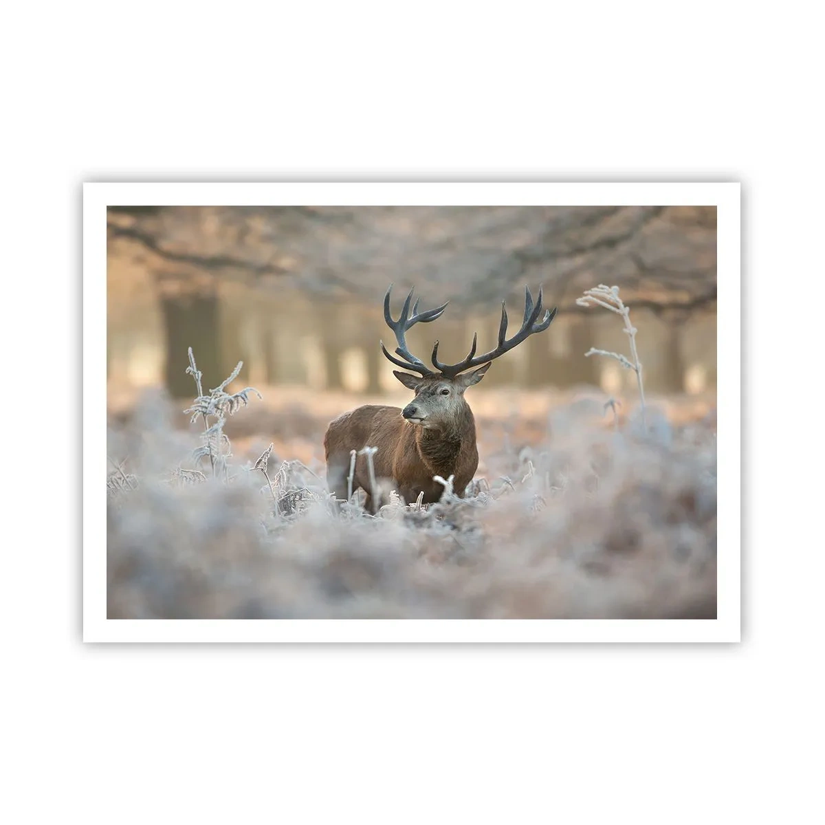 Pôster - Uma manhã fresca - 100x70 cm