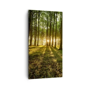 Quadro em tela - Fotografia de todas as primaveras - 55x100 cm