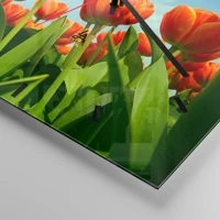 Mostrador com traços