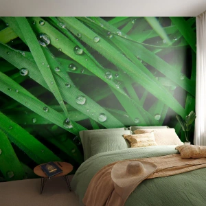 Papel de Parede Premium Canvas - Jogue no verde - Natureza, Grama verde, Jardim - 350x256 cm