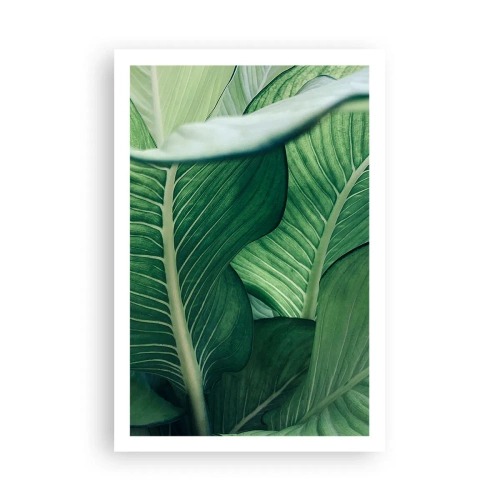 Pôster - Vida intensamente verde - 61x91 cm