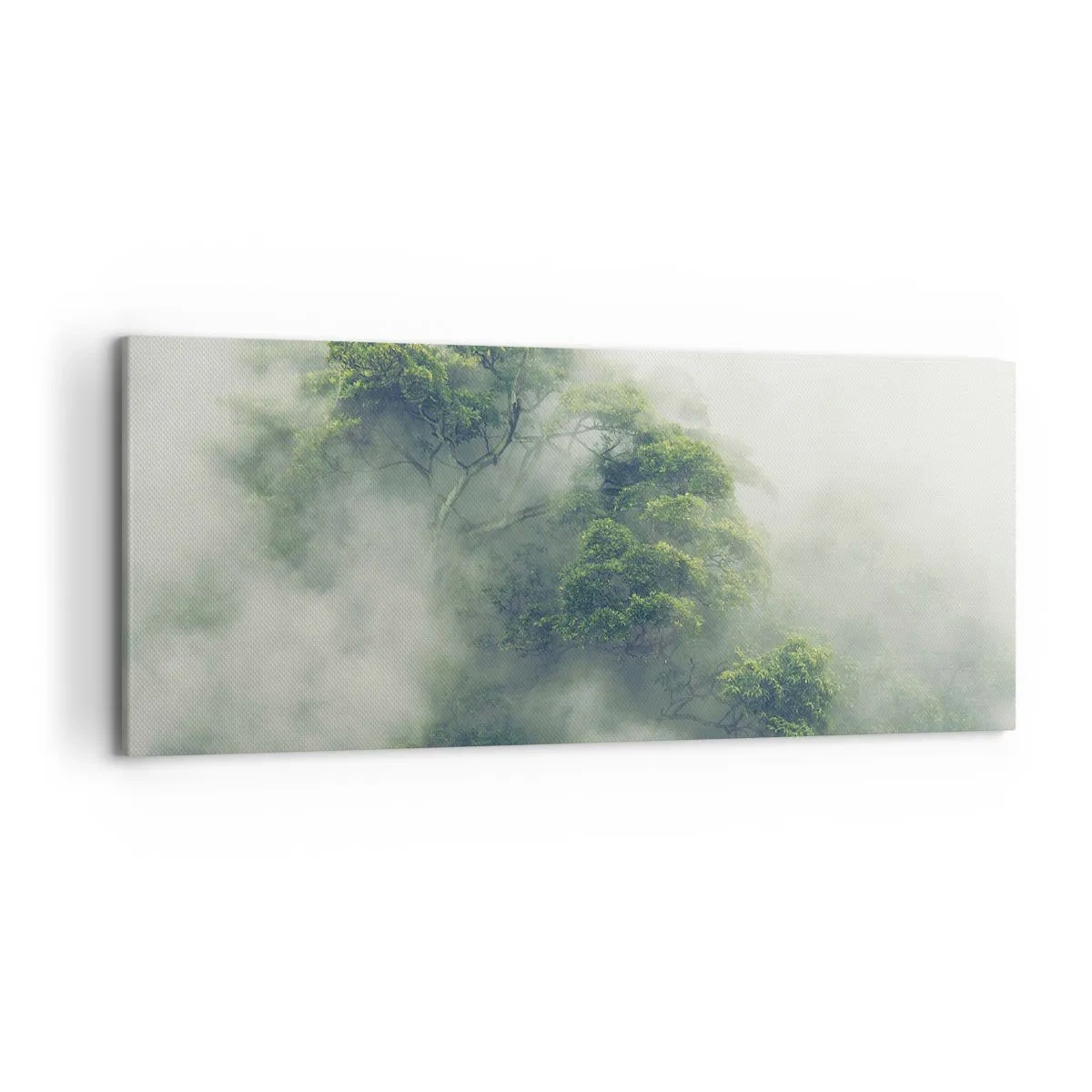 Quadro em tela - Envolto em neblina - 120x50 cm