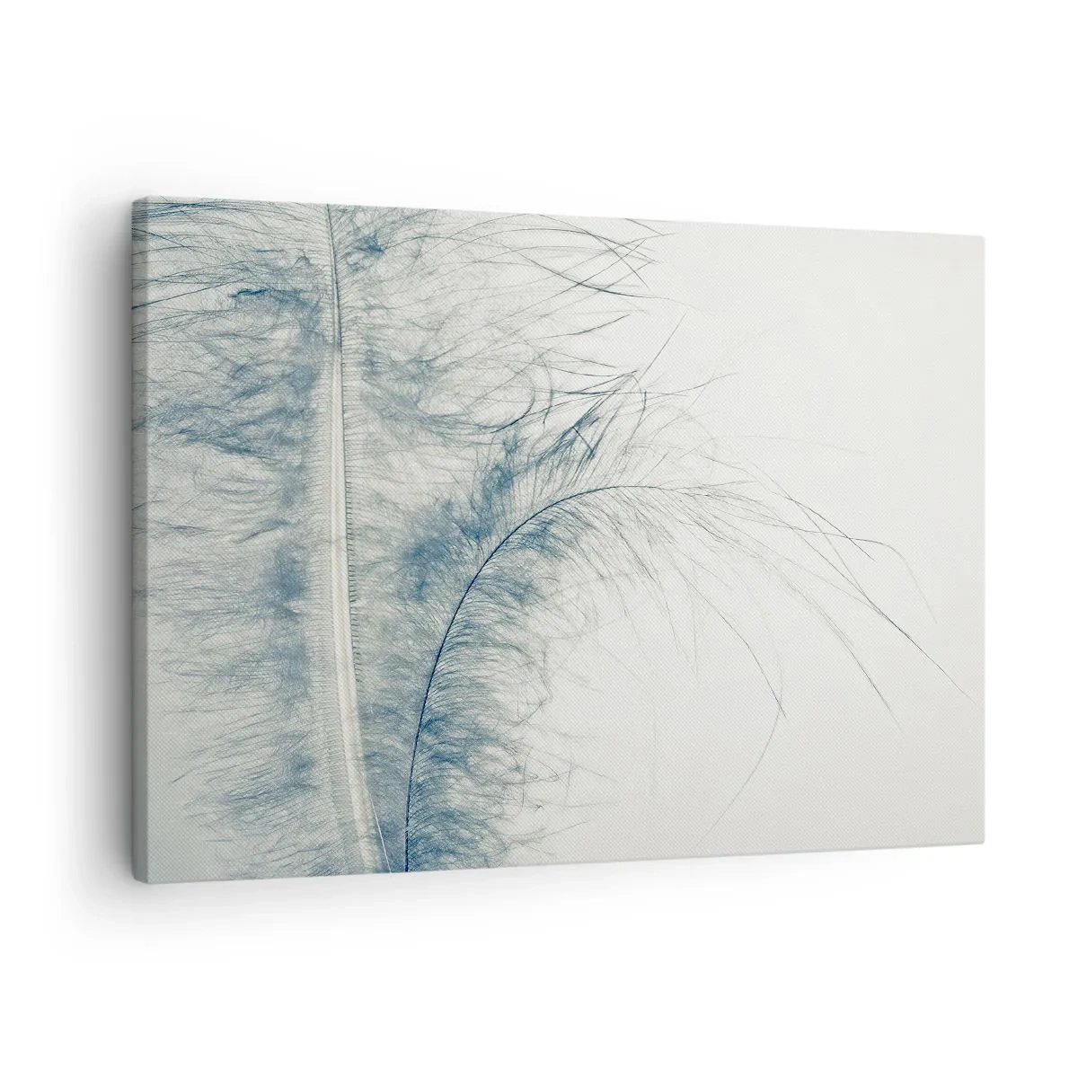 Quadro em tela - Uma pena delicada em tons pastéis sobre um fundo claro - 70x50cm - O sussurro da natureza - Decoração de parede moderna para a sala de estar e quarto ARTTOR