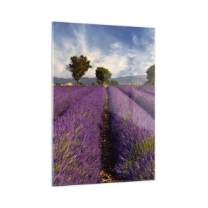 Quadro em vidro - Prados de lavanda - 50x70 cm