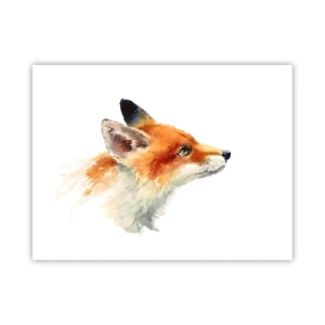 Pôster - Nunca é demais ter cuidado - 40x30 cm