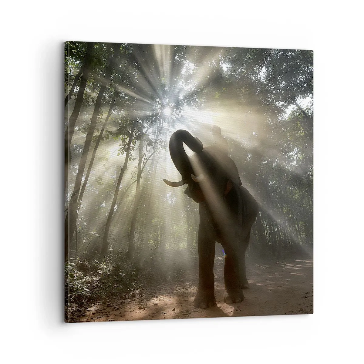 Quadro em tela - Sob a estrela da sorte - 60x60 cm