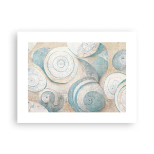 Pôster - O que há dentro da casca? - 40x30 cm