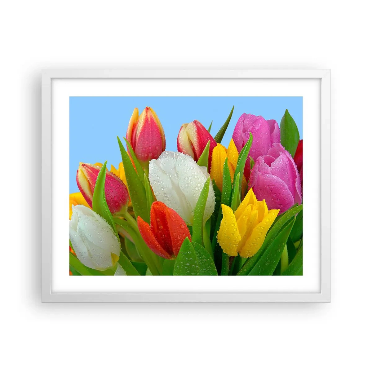 Pôster em moldura branca - Arco-íris floral em gotas de orvalho - 50x40 cm