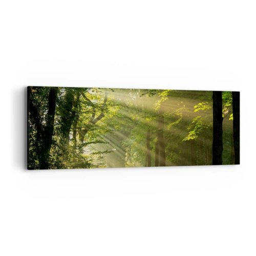 Quadro em tela - Momento florestal - 90x30 cm