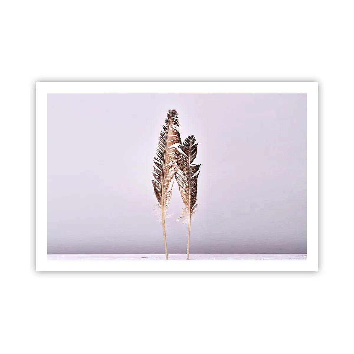 Pôster - Contra o nada - 91x61 cm