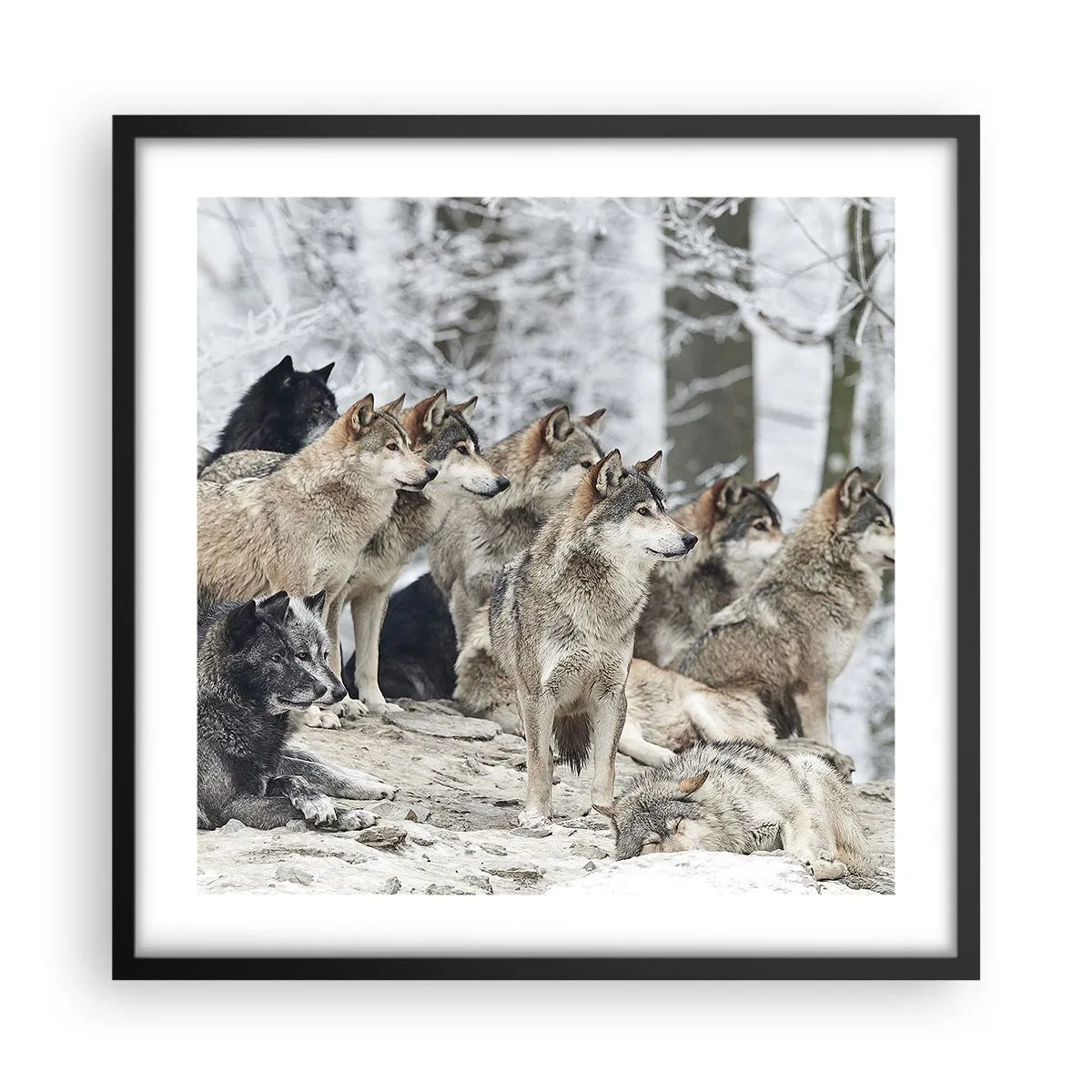 Pôster com moldura preta - Família e amigos - 50x50 cm