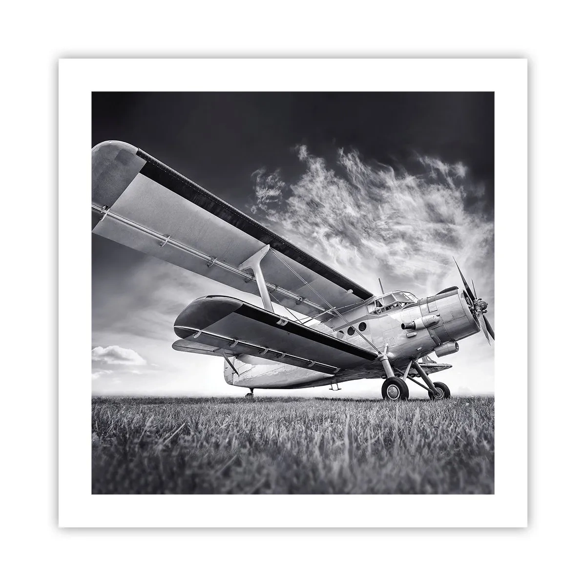 Pôster - Andarilho alado - 50x50 cm