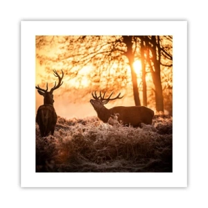 Pôster - O sonho do caçador - 40x40 cm