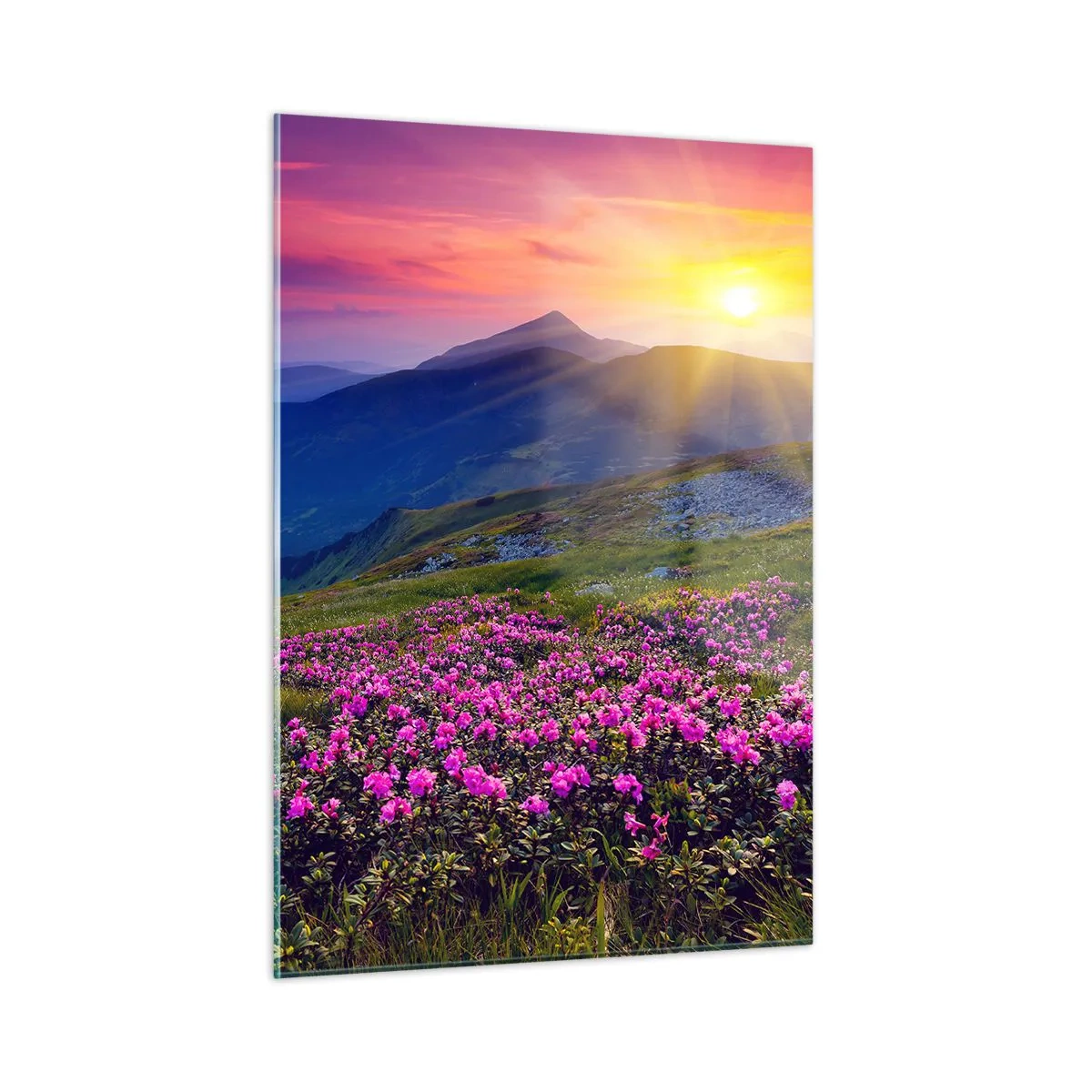 Quadro em vidro - …Cheiro de pinheiros e ervas da montanha - 50x70 cm