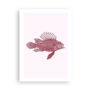 Pôster - Um habitante de águas exóticas - 50x70 cm