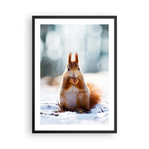 Pôster com moldura preta - Esquilo na neve na floresta de inverno - 50x70cm - Para o que estás a olhar? - Decoração de parede moderna para a sala de estar e quarto ARTTOR