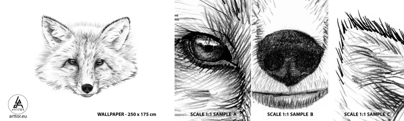 Amostra de Papel de Parede Standard Eco - Esses olhos podem mentir? - Animais, Raposa, Gráficos - 100x30 cm