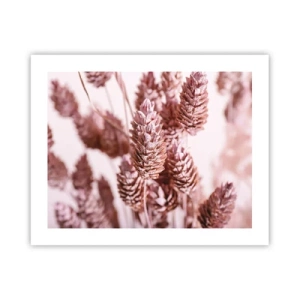 Pôster - Aparentemente discreto - 50x40 cm