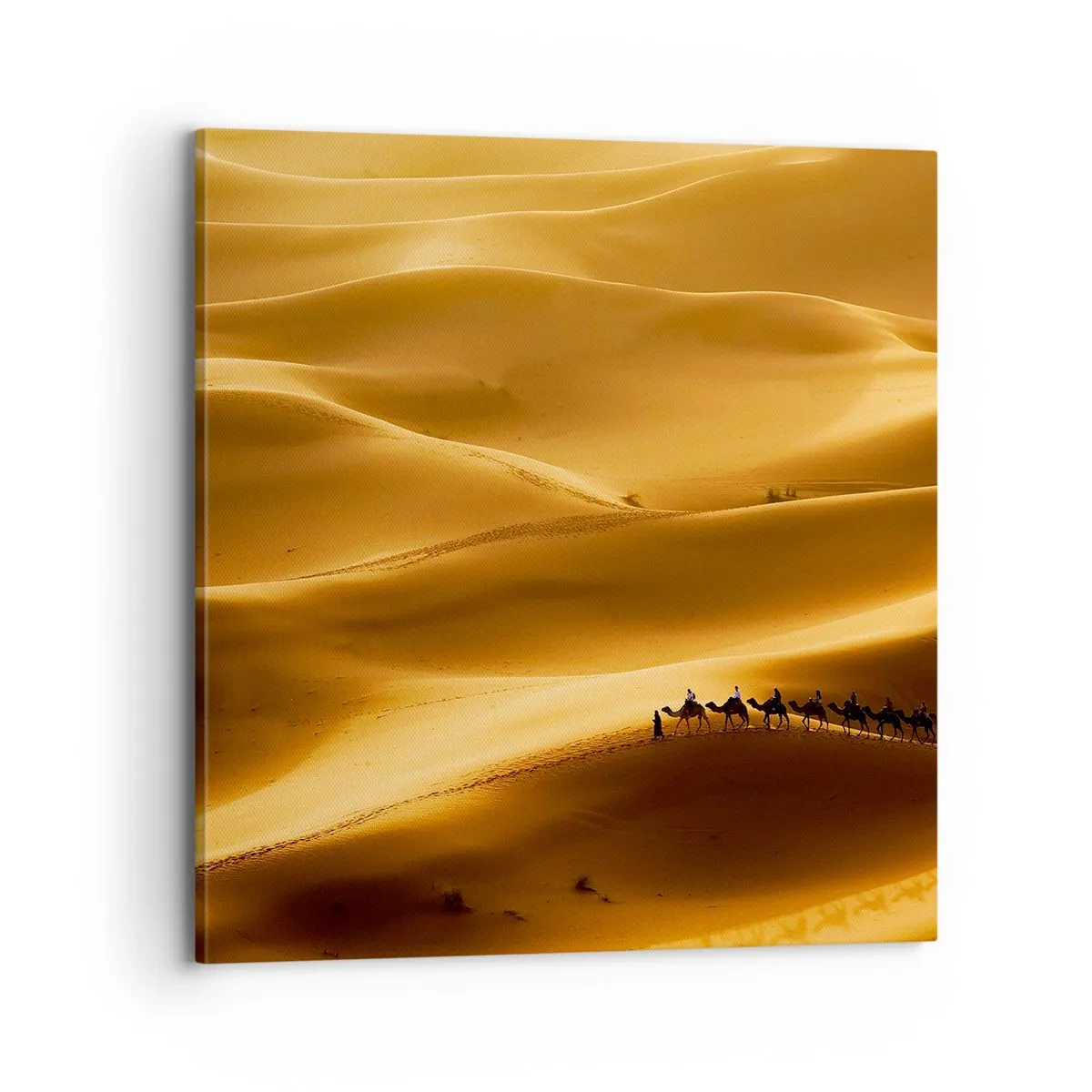 Quadro em tela - Caravana nas ondas do deserto - 70x70 cm