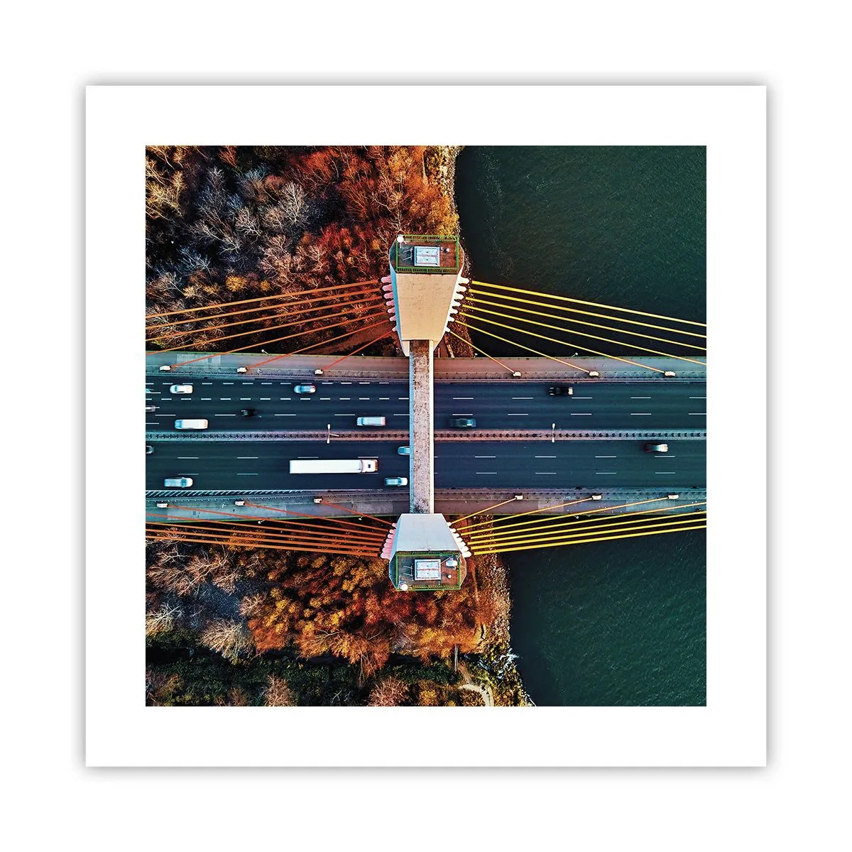 Pôster - Além das águas, além das florestas - 40x40 cm