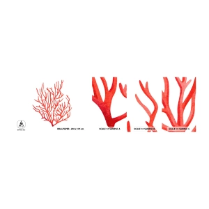 Amostra de Papel de Parede Standard Eco - Filigrana coral - Recife de corais, Beira-mar, Minimalista - 100x30 cm