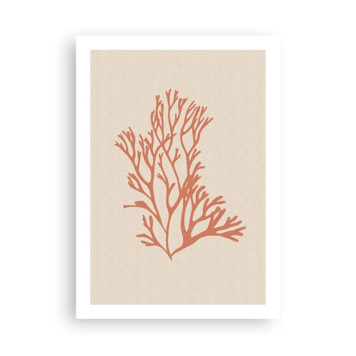 Pôster - Filigrana coral - 50x70 cm