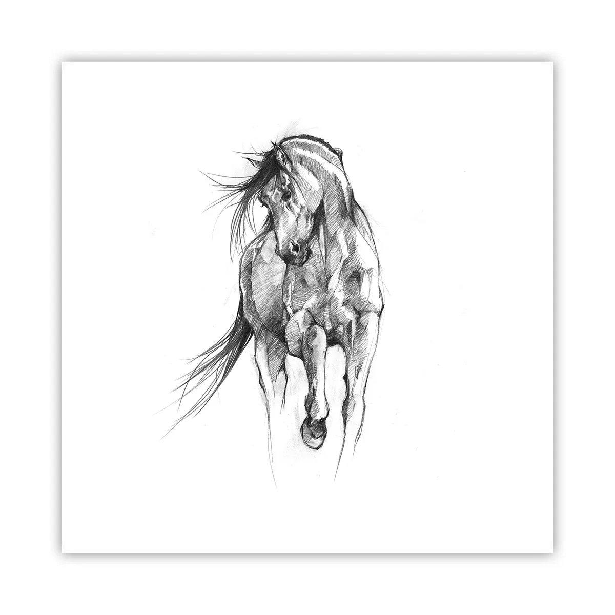 Pôster - Num trote gracioso - 40x40 cm
