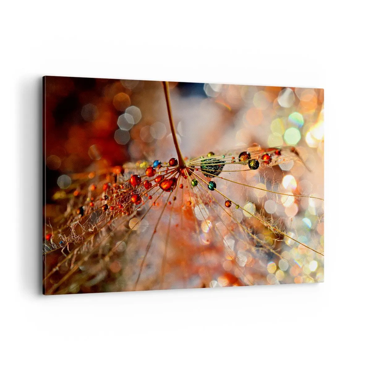 Quadro em tela - Enroscado numa teia de aranha - 100x70 cm