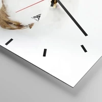 Mostrador com traços