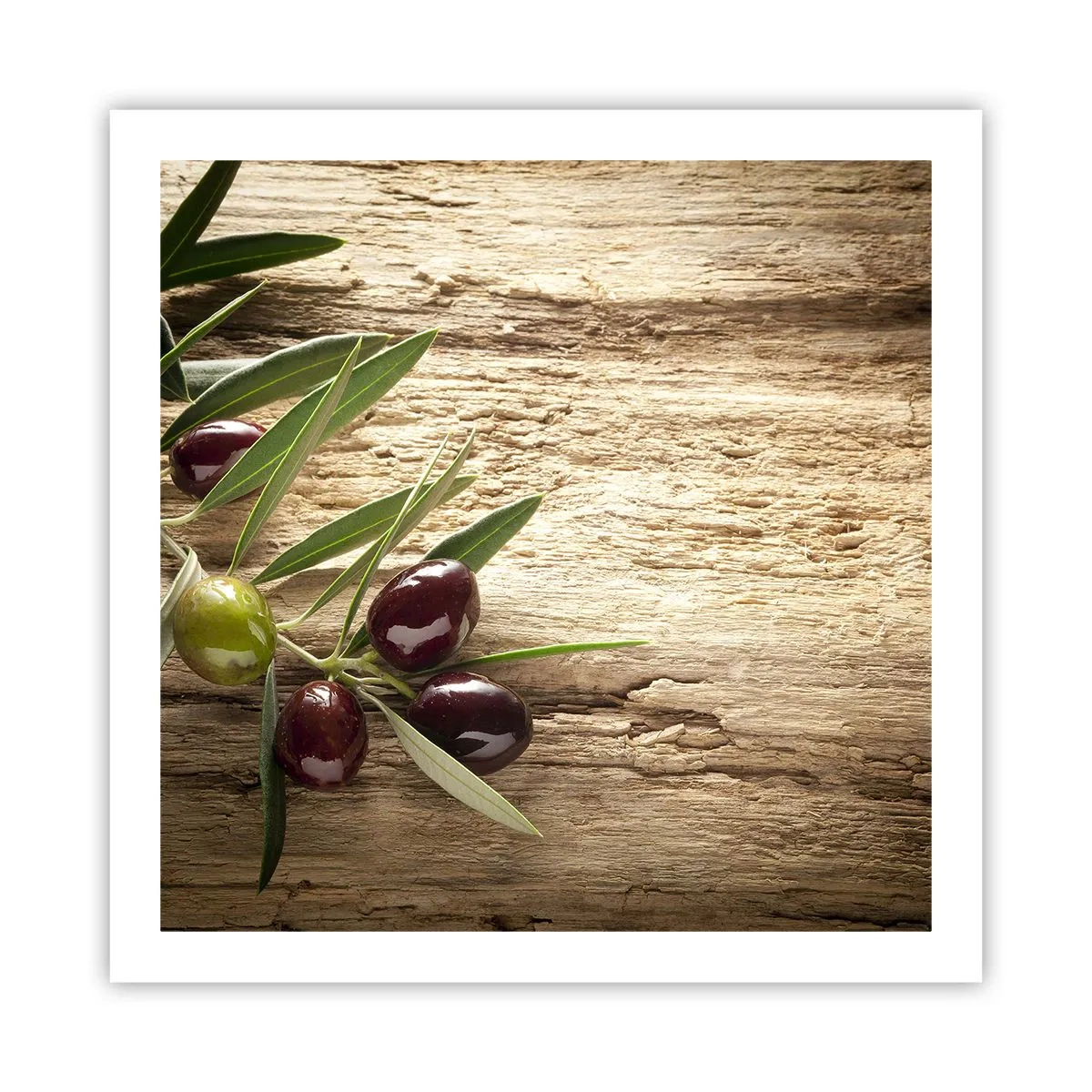 Pôster - Direto da natureza - 60x60 cm