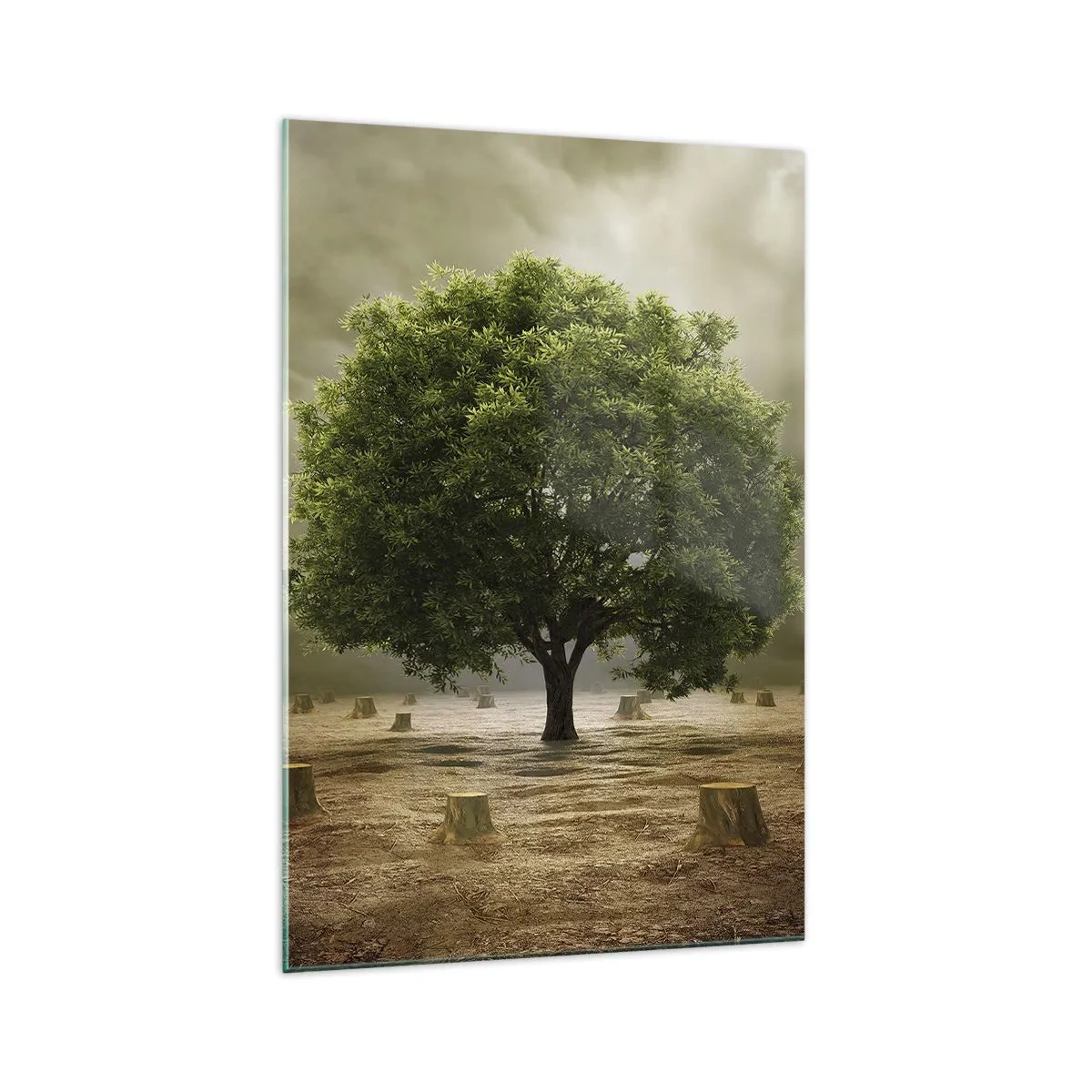 Quadro em vidro - Toda a esperança - 70x100 cm
