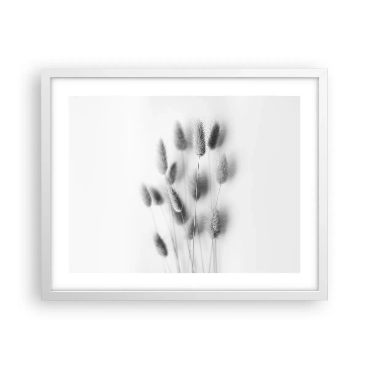 Pôster em moldura branca - Grama fofa - 50x40 cm