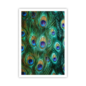 Pôster - Um olhar de pavão - 70x100 cm