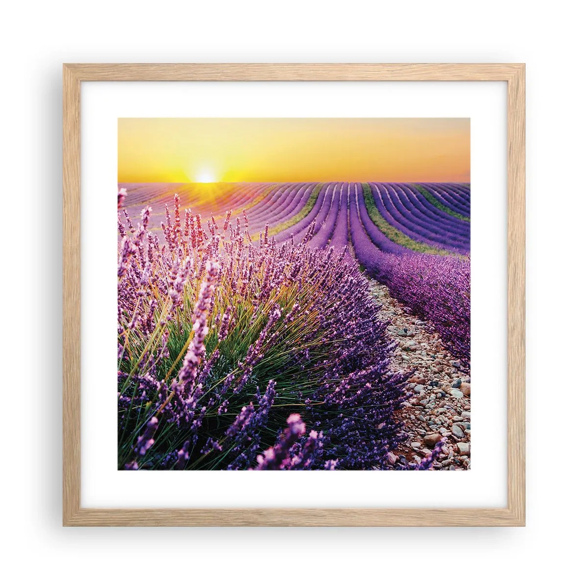 Pôster com moldura de carvalho claro - Prado perfumado - 40x40 cm
