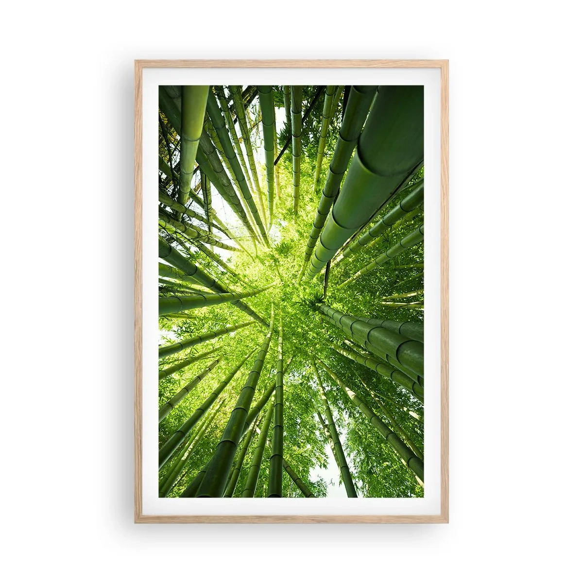 Pôster com moldura de carvalho claro - Em um bosque de bambu - 61x91 cm