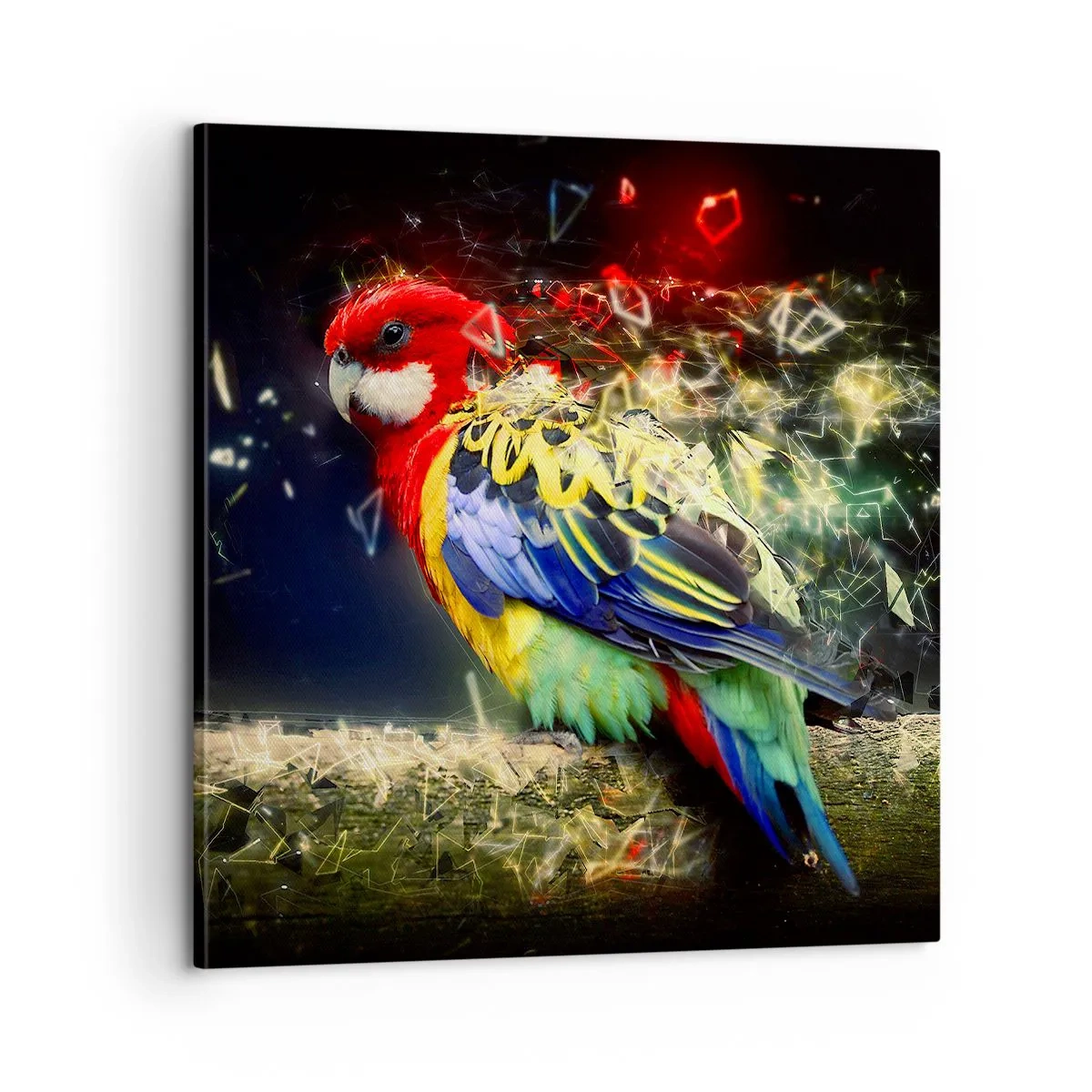 Quadro em tela - O mensageiro do Brilho - 60x60 cm