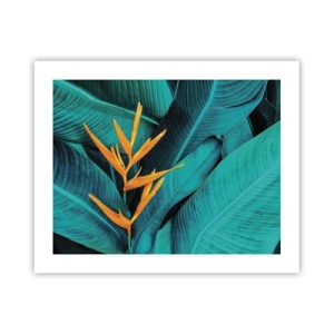 Pôster - Flor do Éden - 50x40 cm